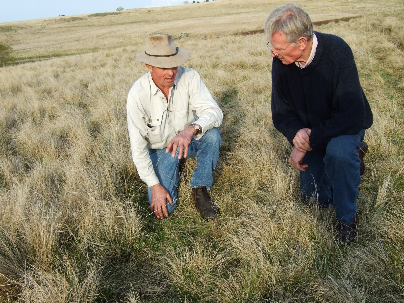 Charlie Maslin and Hugo Disler examining pasture in the field